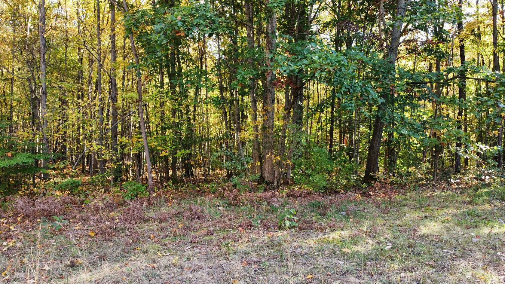 40 Acres of Land for Sale in Allegan, Michigan