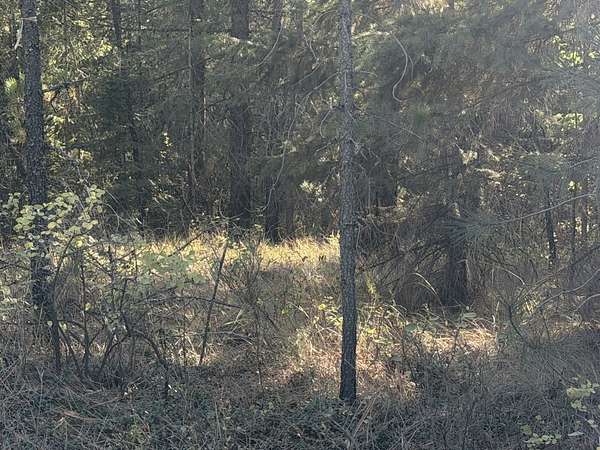 5.56 Acres of Land for Sale in Rathdrum, Idaho