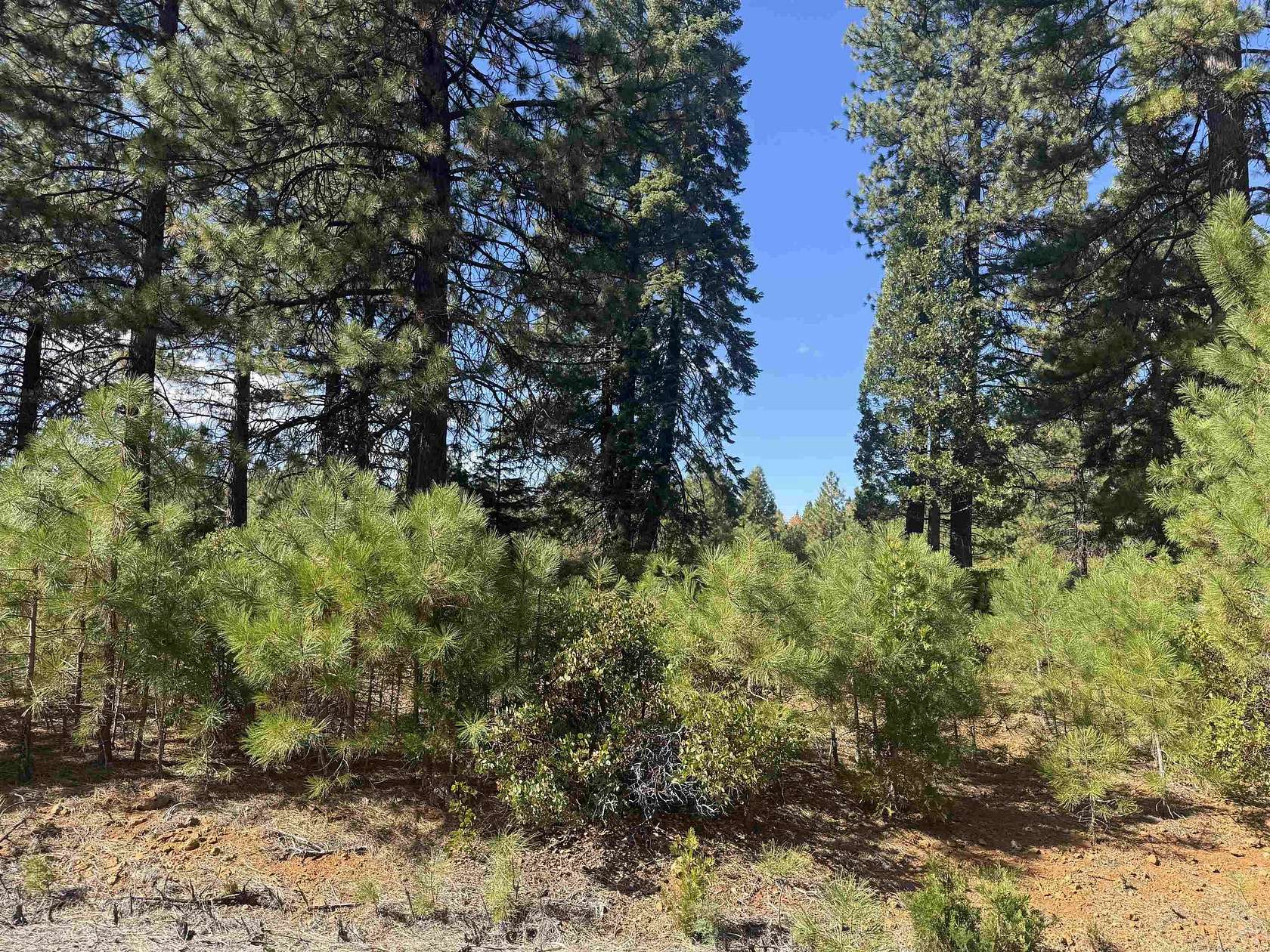 0.28 Acres of Residential Land for Sale in Lake Almanor Peninsula, California