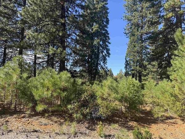 0.28 Acres of Residential Land for Sale in Lake Almanor Peninsula, California