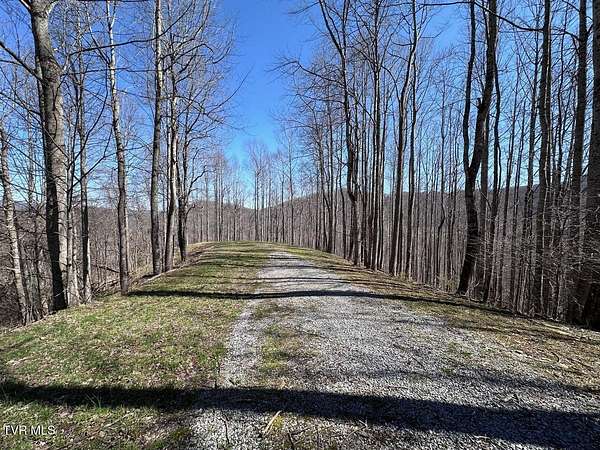2 Acres of Residential Land for Sale in Roan Mountain, Tennessee