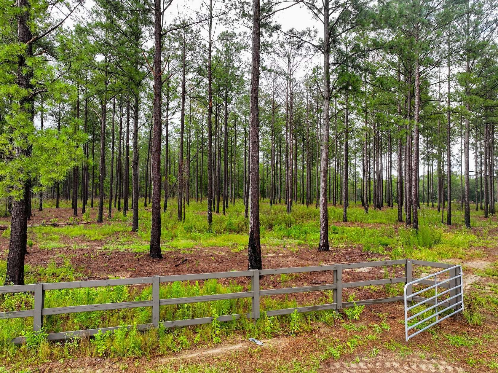 1 Acre of Residential Land for Sale in Auburn, Alabama