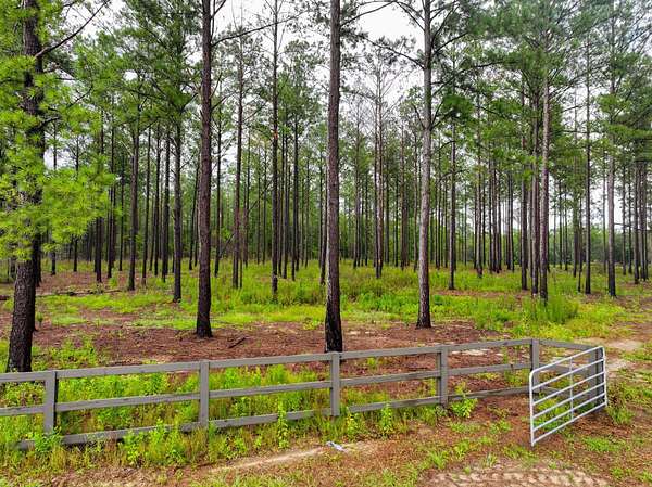 1 Acre of Residential Land for Sale in Auburn, Alabama