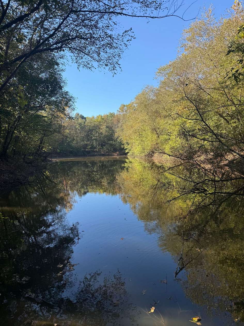 17 Acres of Recreational Land for Sale in Poplar Bluff, Missouri