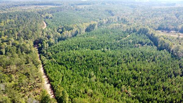 55.5 Acres of Recreational & Residential Land for Sale in Wedowee, Alabama