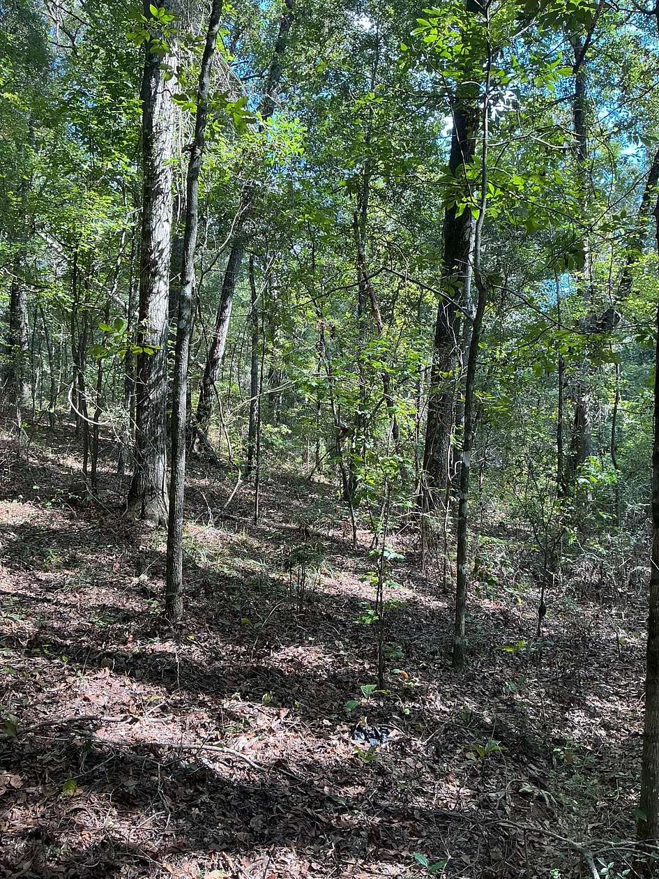 1.77 Acres of Land for Sale in Clio, Alabama