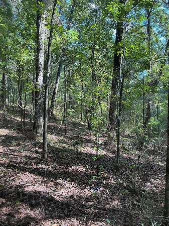 1.77 Acres of Land for Sale in Clio, Alabama
