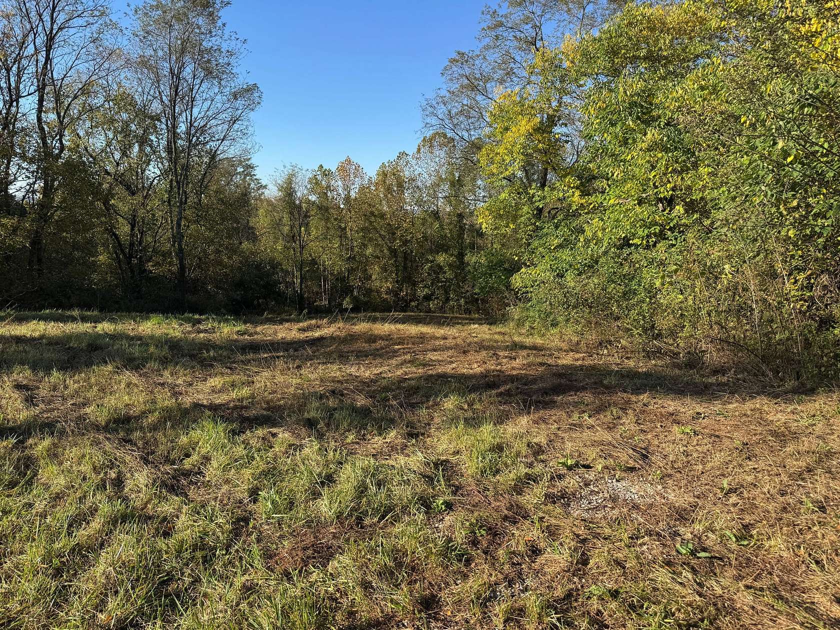 200 Acres of Recreational Land for Sale in Florence, Indiana