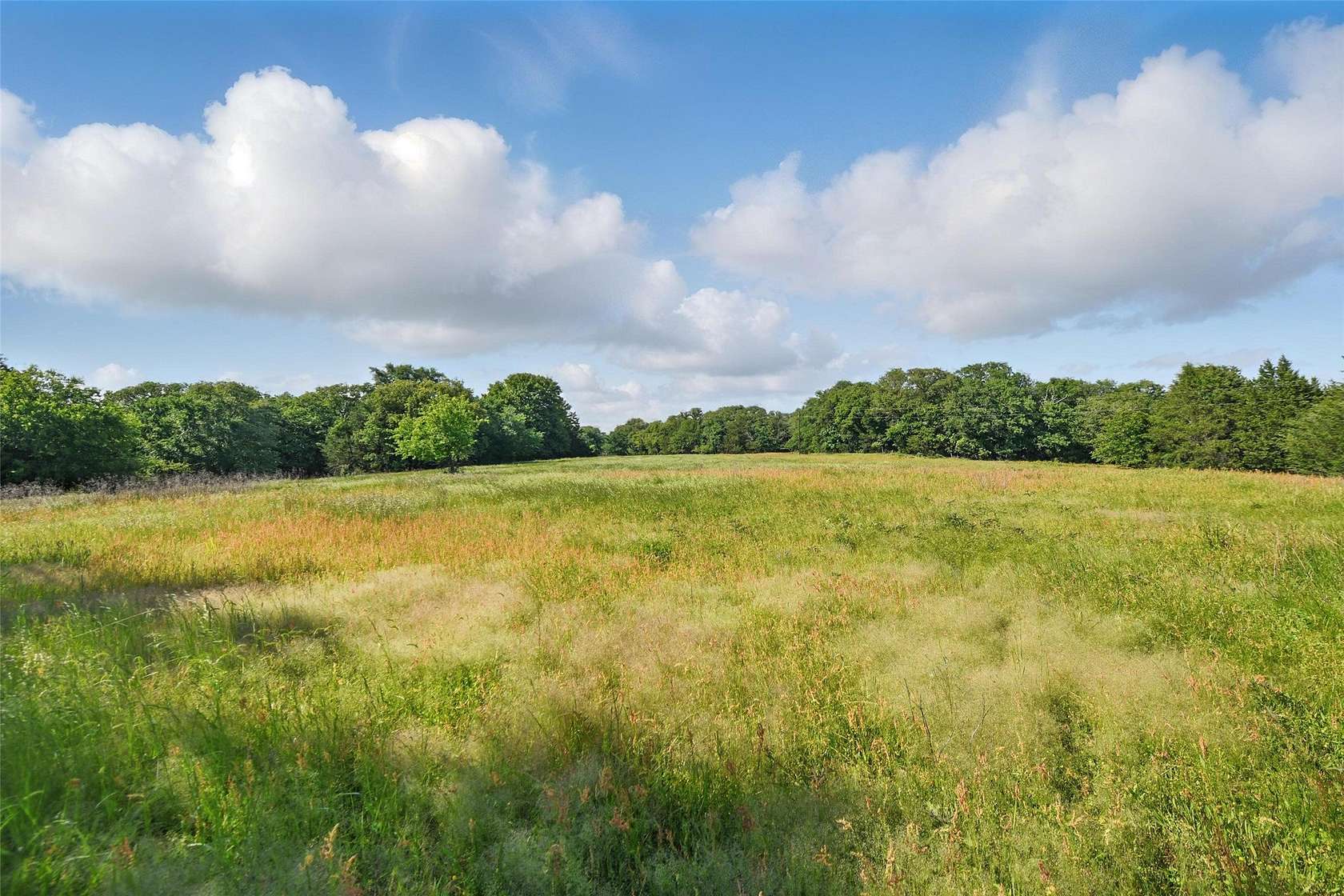 91.3 Acres of Land for Sale in Gainesville, Texas