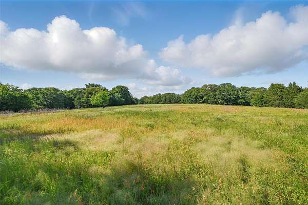 91.3 Acres of Land for Sale in Gainesville, Texas