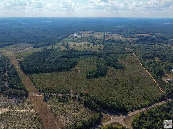 40 Acres of Land for Sale in Bloomburg, Texas