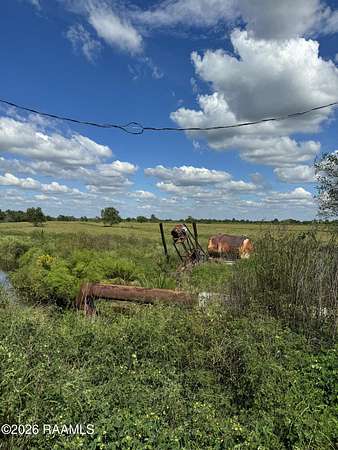 117 Acres of Land for Sale in Kaplan, Louisiana