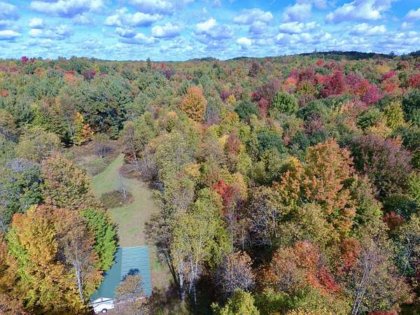 40 Acres of Recreational & Residential Land for Sale in Chase, Michigan