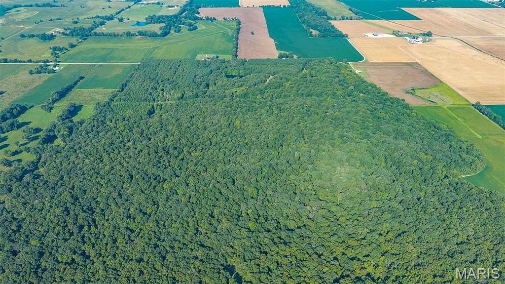 169 Acres of Land for Sale in Advance, Missouri