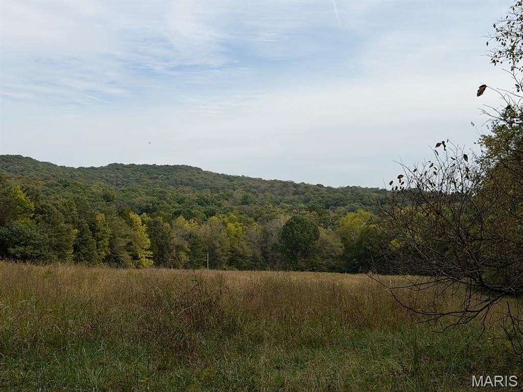 20 Acres of Land for Sale in Hillsboro, Missouri