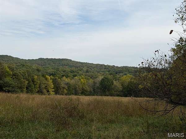 20 Acres of Land for Sale in Hillsboro, Missouri