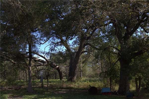 10.5 Acres of Land for Sale in Fayetteville, Texas