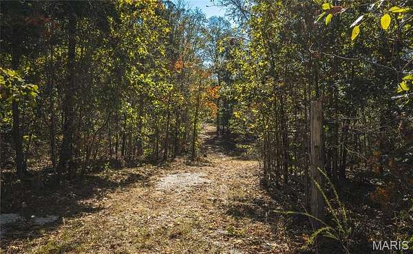 10 Acres of Recreational & Residential Land for Sale in Raymondville, Missouri