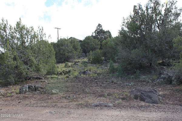 0.23 Acres of Residential Land for Sale in Show Low, Arizona