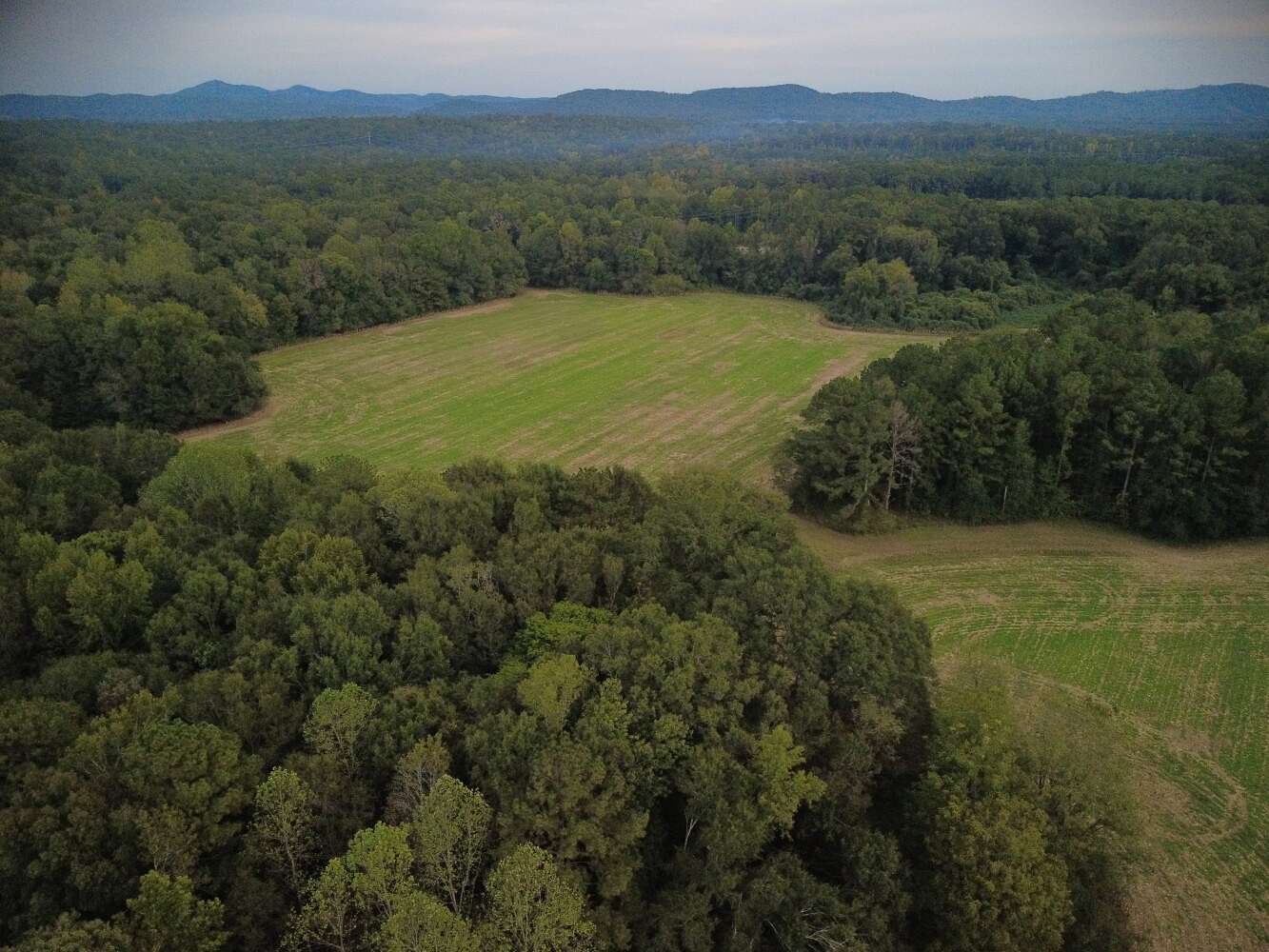 90 Acres of Recreational & Residential Land for Sale in Wilsonville, Alabama