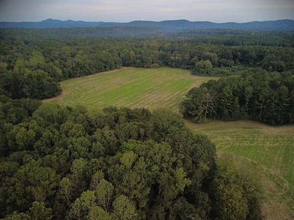 90 Acres of Recreational & Residential Land for Sale in Wilsonville, Alabama