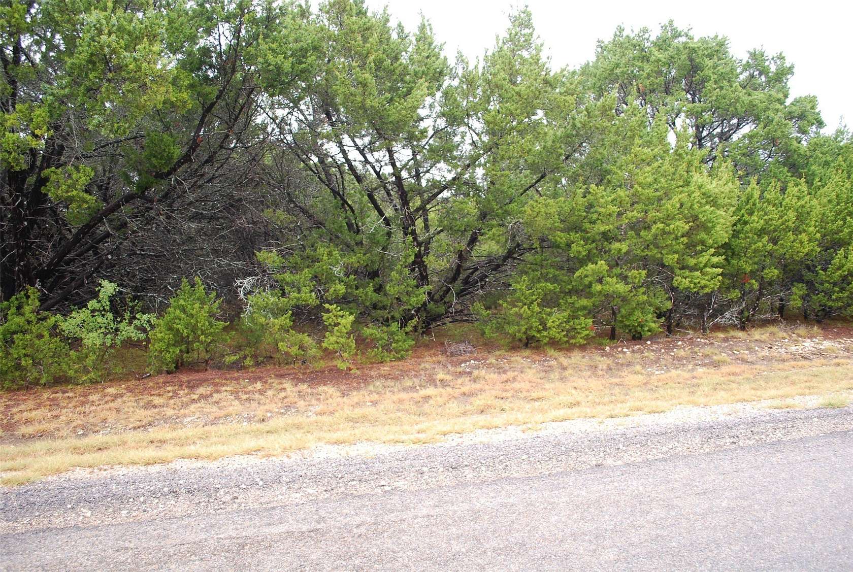 0.87 Acres of Residential Land for Sale in Whitney, Texas