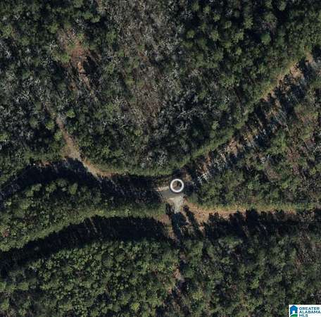 6.67 Acres of Land for Sale in Sylacauga, Alabama
