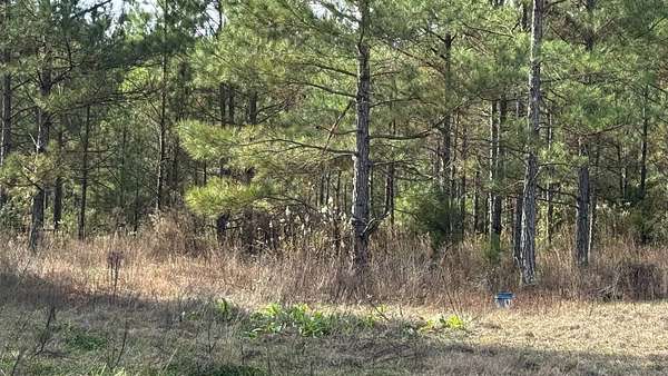 32.9 Acres of Recreational Land for Sale in Forest, Mississippi