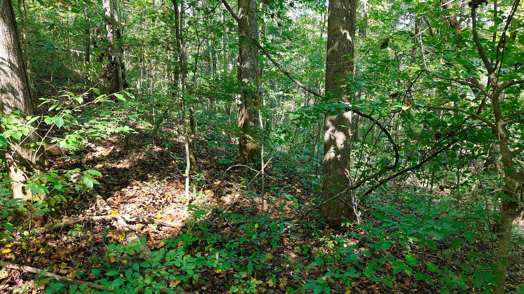 5.52 Acres of Residential Land for Sale in Hilham, Tennessee