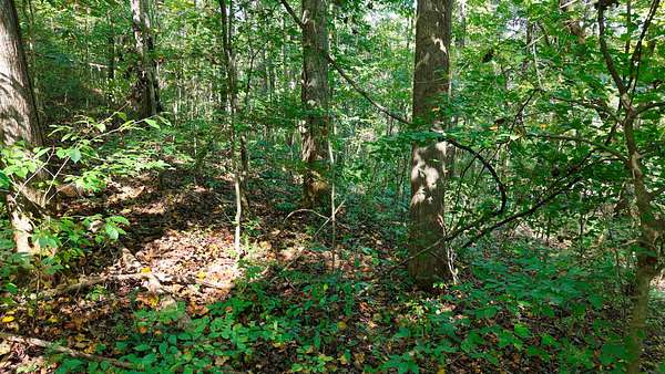5.52 Acres of Residential Land for Sale in Hilham, Tennessee