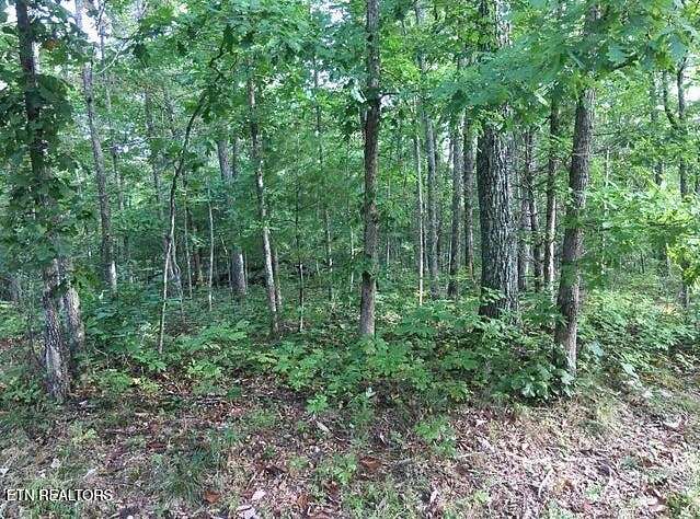 0.21 Acres of Residential Land for Sale in Crossville, Tennessee