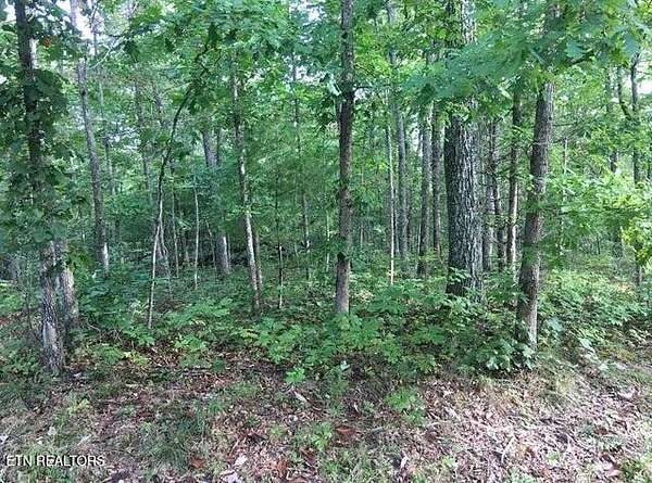 0.21 Acres of Residential Land for Sale in Crossville, Tennessee