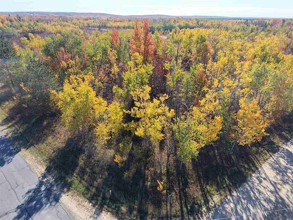 1 Acre of Residential Land for Sale in Elmira, Michigan