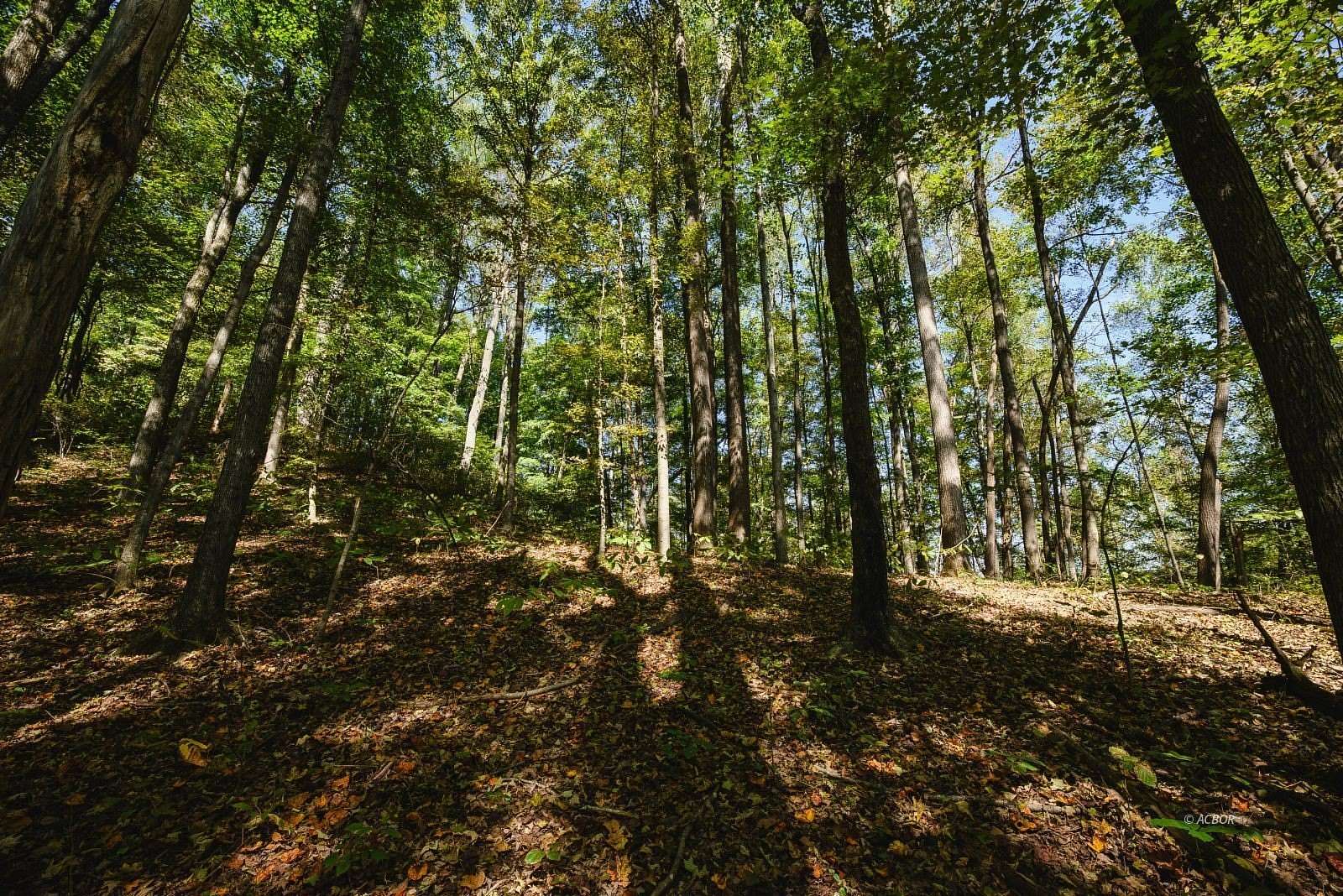 41.5 Acres of Recreational & Residential Land for Sale in Cheshire, Ohio