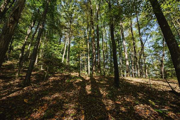 41.5 Acres of Recreational & Residential Land for Sale in Cheshire, Ohio