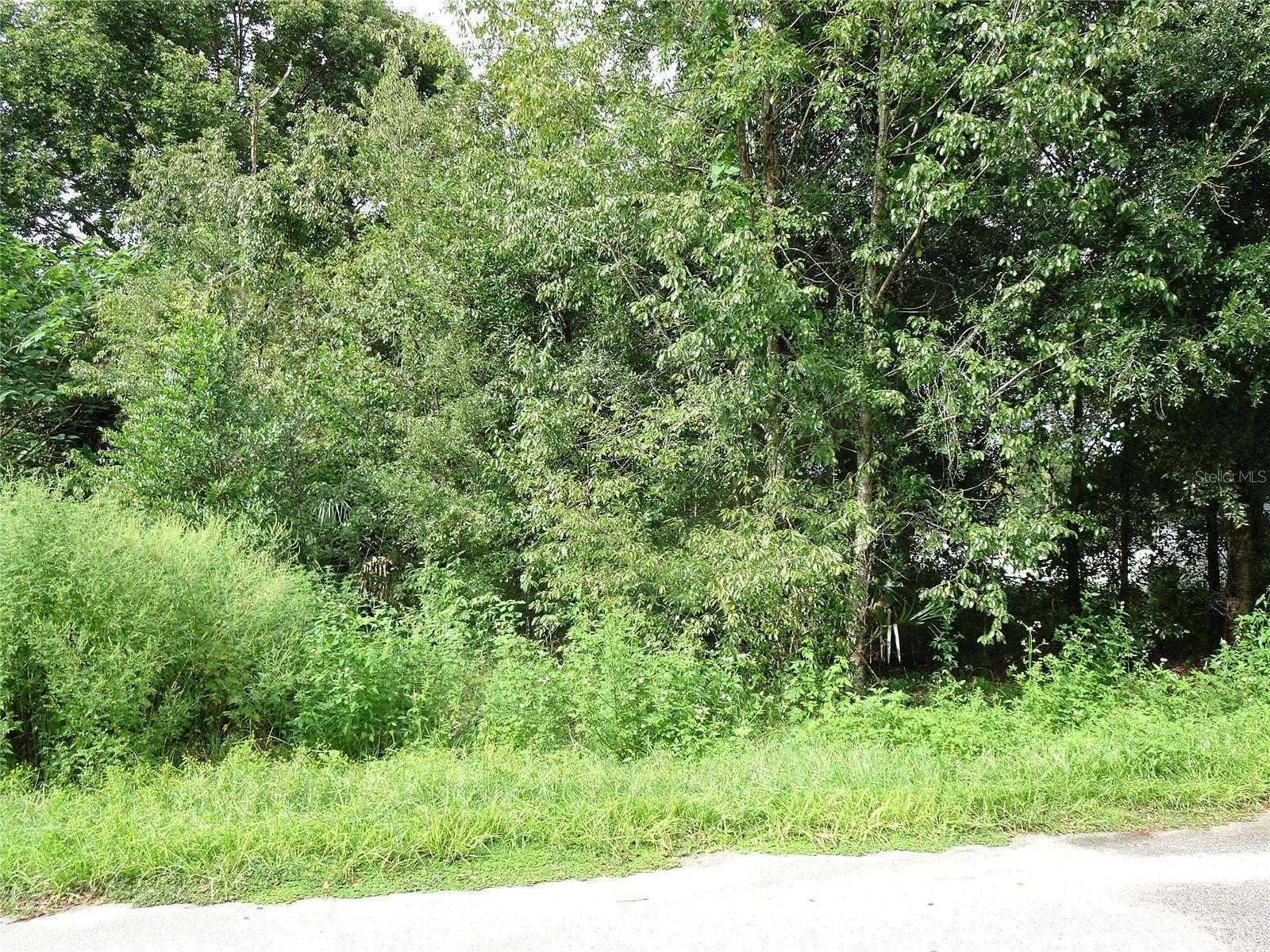 0.24 Acres of Residential Land for Sale in Ocala, Florida