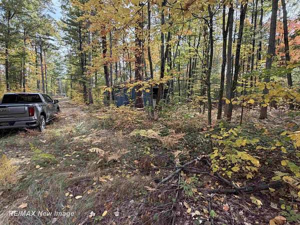 0.52 Acres of Residential Land for Sale in Topinabee, Michigan