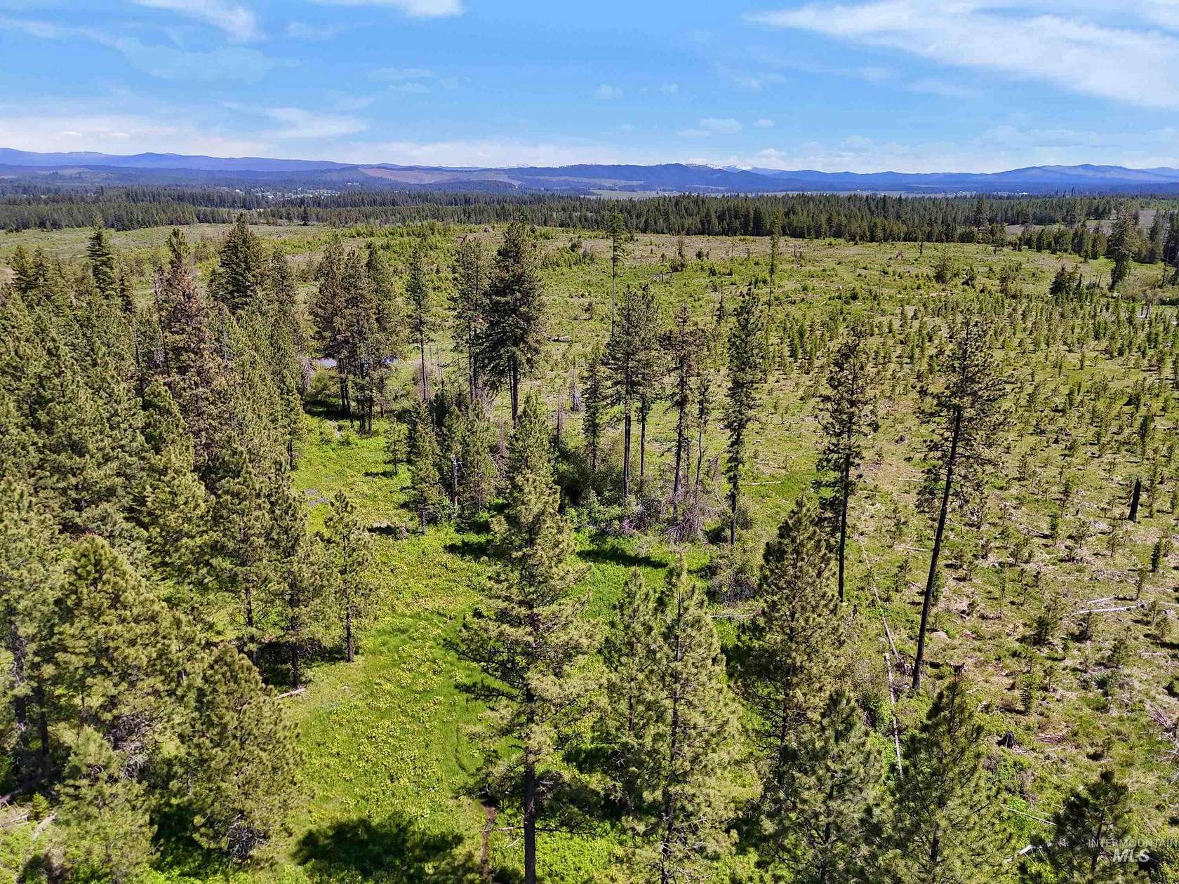20.4 Acres of Recreational Land for Sale in Weippe, Idaho