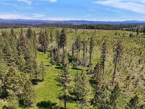 20.4 Acres of Recreational Land for Sale in Weippe, Idaho