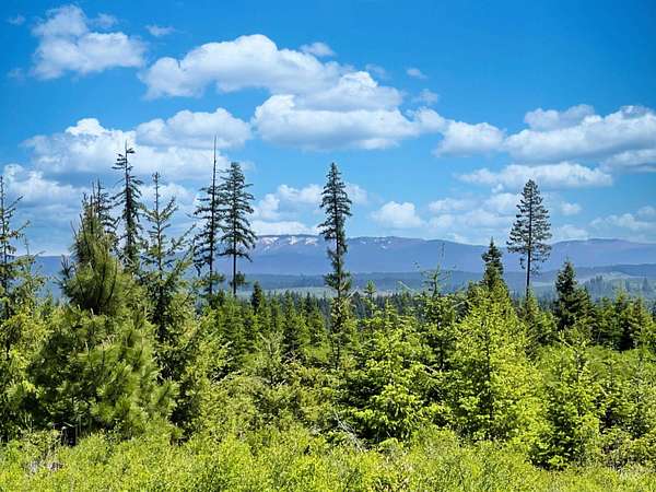 20.1 Acres of Recreational & Residential Land for Sale in Weippe, Idaho