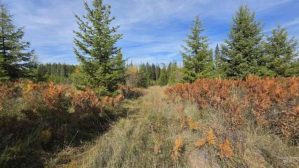 20.8 Acres of Recreational & Residential Land for Sale in Weippe, Idaho
