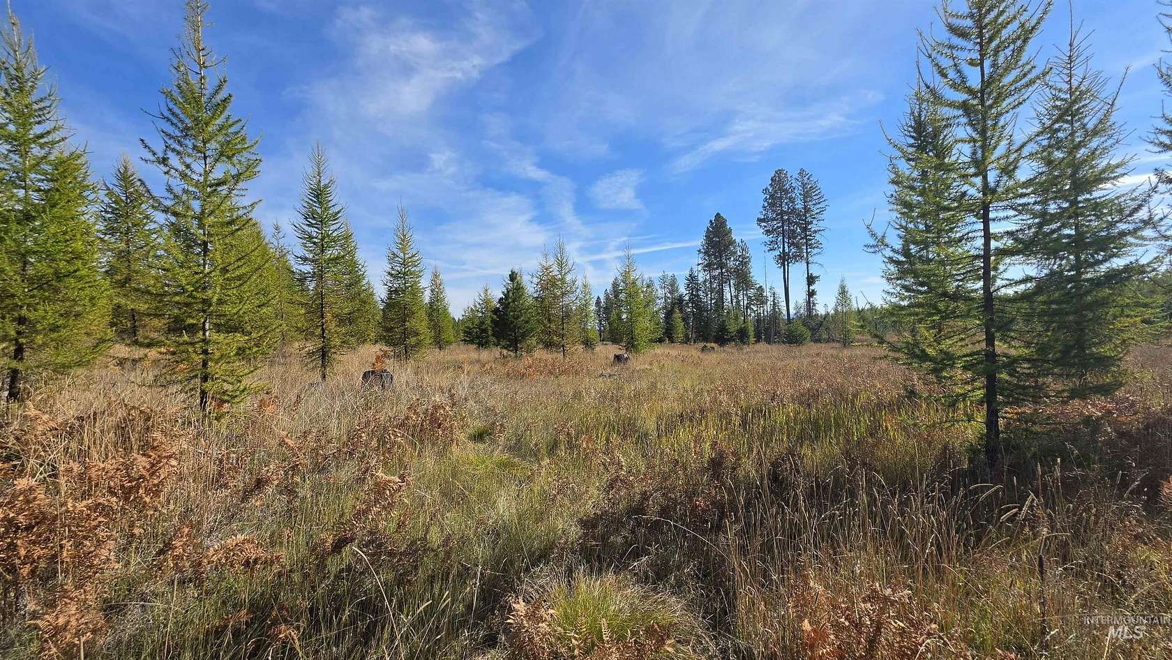 7.33 Acres of Residential Land for Sale in Weippe, Idaho