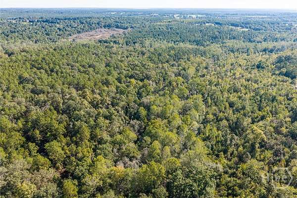 25.6 Acres of Recreational Land for Sale in Hephzibah, Georgia