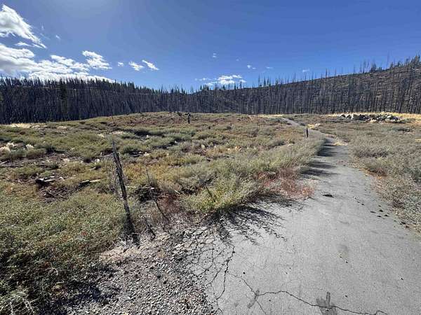 3.24 Acres of Land for Sale in Chester, California