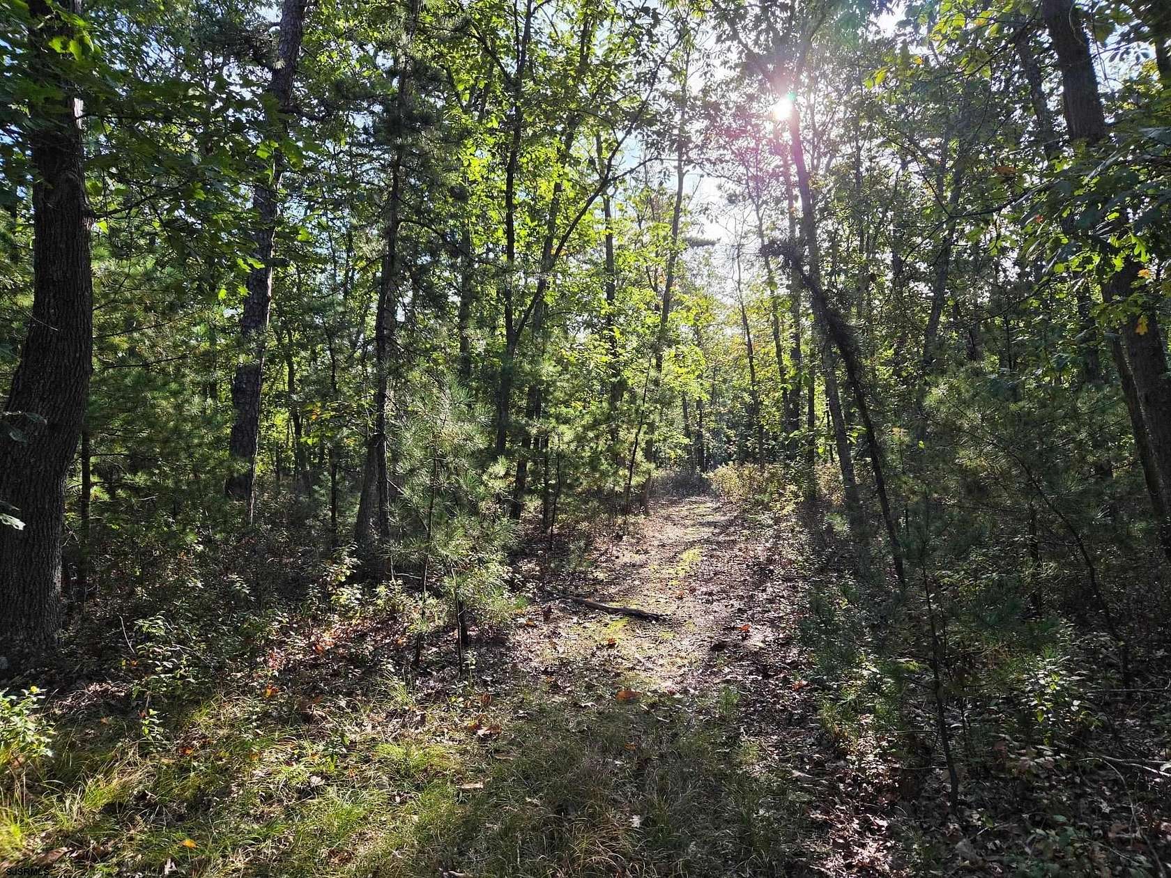 10.7 Acres of Land for Sale in Hammonton, New Jersey