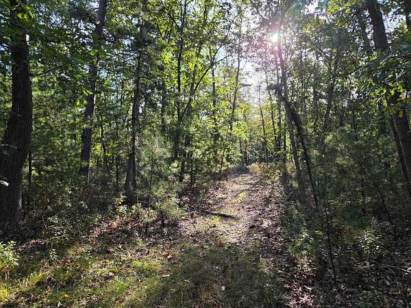 10.7 Acres of Land for Sale in Hammonton, New Jersey