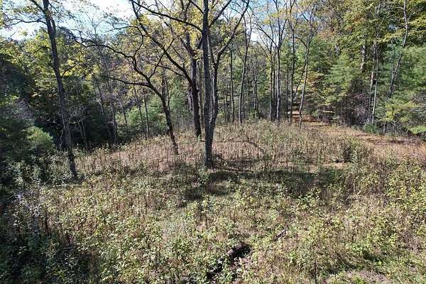16.9 Acres of Recreational Land for Sale in Ivanhoe, Virginia