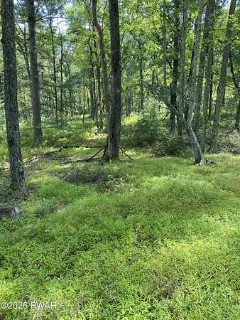 2.45 Acres of Residential Land for Sale in Hawley, Pennsylvania