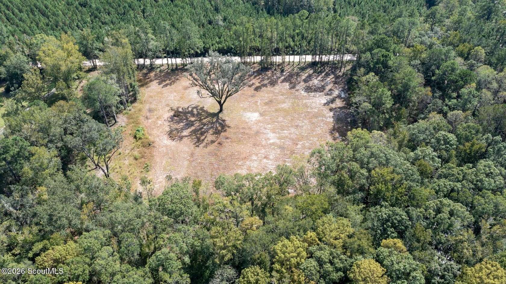 5.33 Acres of Residential Land for Sale in Woodbine, Georgia