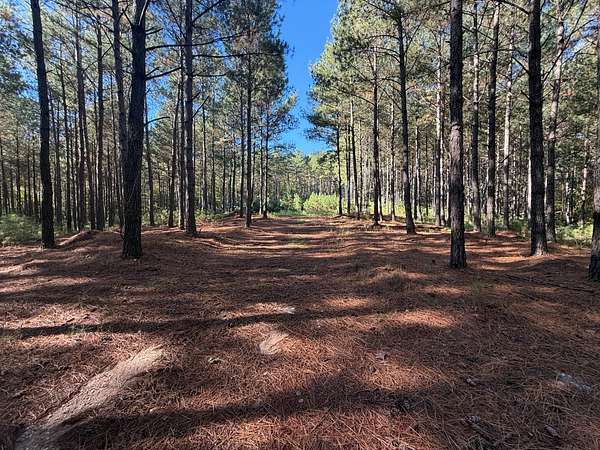 33.6 Acres of Recreational Land for Sale in Cheek Creek Township, North Carolina